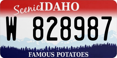 ID license plate W828987