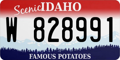 ID license plate W828991