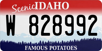 ID license plate W828992