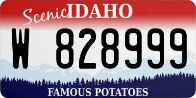 ID license plate W828999
