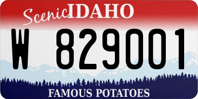 ID license plate W829001