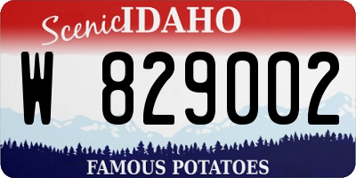 ID license plate W829002