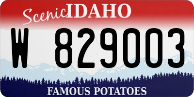 ID license plate W829003