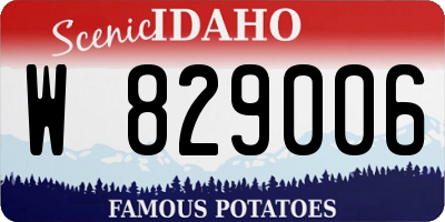 ID license plate W829006