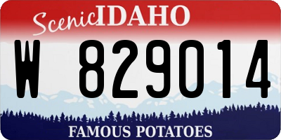 ID license plate W829014