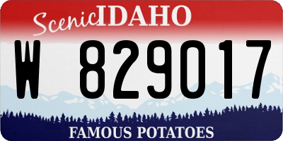 ID license plate W829017