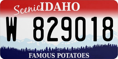ID license plate W829018