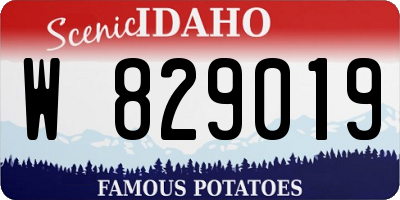 ID license plate W829019