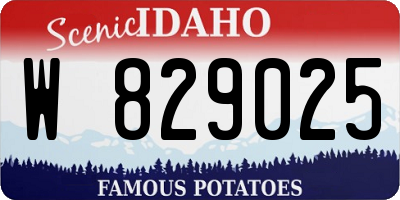 ID license plate W829025