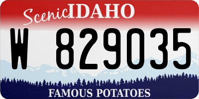 ID license plate W829035