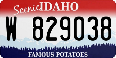 ID license plate W829038