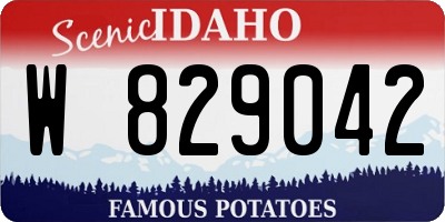 ID license plate W829042