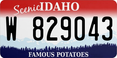 ID license plate W829043