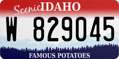 ID license plate W829045