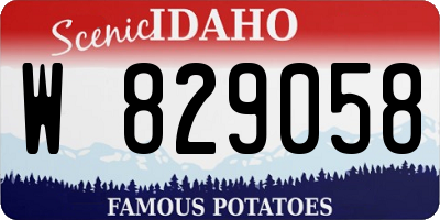 ID license plate W829058