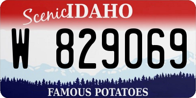 ID license plate W829069