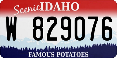 ID license plate W829076