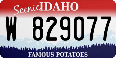 ID license plate W829077