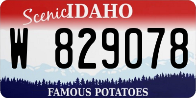 ID license plate W829078