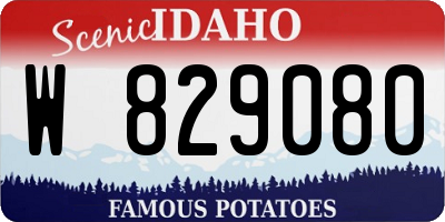 ID license plate W829080