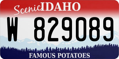 ID license plate W829089