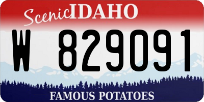 ID license plate W829091