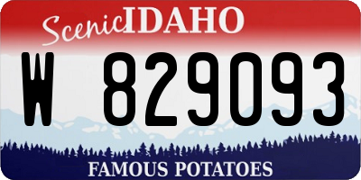 ID license plate W829093