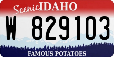 ID license plate W829103