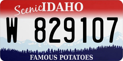 ID license plate W829107