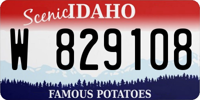 ID license plate W829108