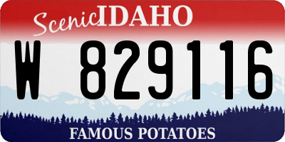 ID license plate W829116