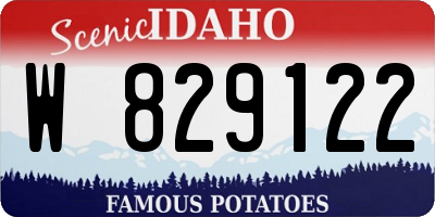 ID license plate W829122