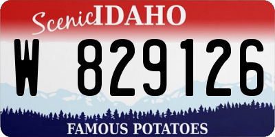 ID license plate W829126