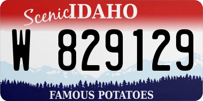 ID license plate W829129