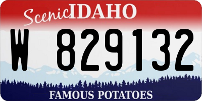 ID license plate W829132
