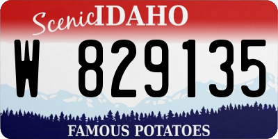 ID license plate W829135