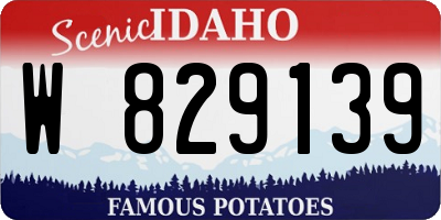 ID license plate W829139