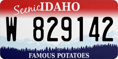 ID license plate W829142