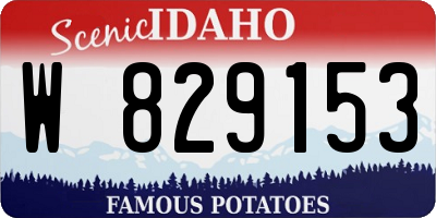ID license plate W829153