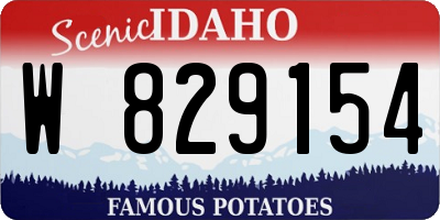 ID license plate W829154