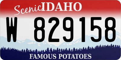 ID license plate W829158