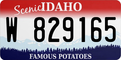 ID license plate W829165