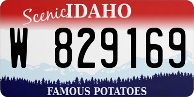 ID license plate W829169