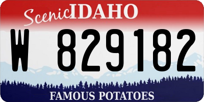 ID license plate W829182