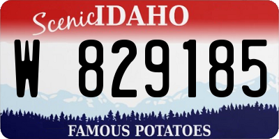 ID license plate W829185