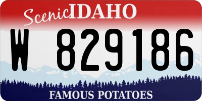 ID license plate W829186