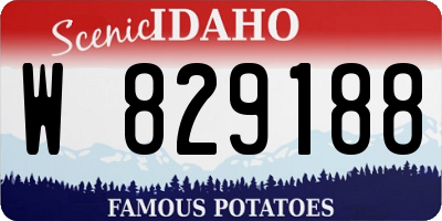 ID license plate W829188