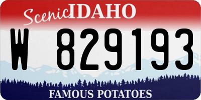 ID license plate W829193
