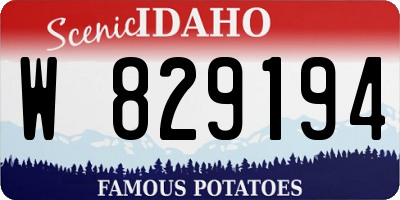 ID license plate W829194