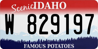 ID license plate W829197